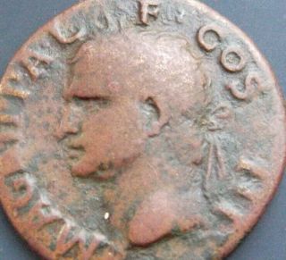 Ancient Roman Coin By Caligula 37 - 41ad Marcus Vipsanius Agrippa Augustus General