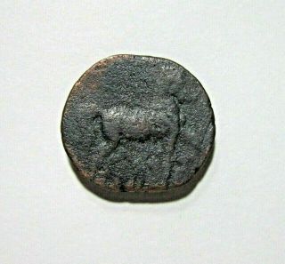 ZEUGITANIA,  CARTHAGE.  AE 28,  TIME OF SECOND PUNIC WAR,  C.  221 - 202 BC.  LARGE COIN 2