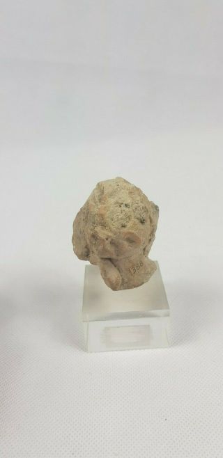 Fine Ancient Hellenistic Greek Terracotta Head 4th - 3rd C BC 5.  5 cm / 2 in 3