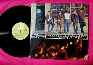 The Paul Butterfield Blues Band - Vinyl Lp In Shrink - Elektra 7294 - Gold Label