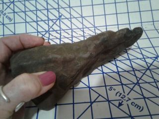 Large Ancient Native American Stone Tool Axe Artifact 2