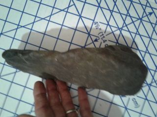 Large Ancient Native American Stone Tool Axe Artifact 3