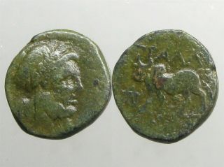 Tralleis Lydia Bronze Ae15_ancient Greece_laureate Zeus & Humped Bull