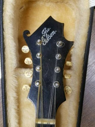 Early 1900 ' s Vintage Gibson F - 2 Mandolin Black w/case 2