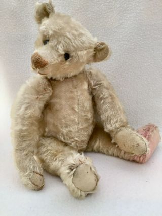 Rare White Steiff Teddy Bear.  Blank Button.  C 1900 17 "