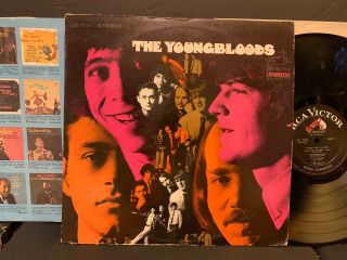 The Youngbloods S/t Rca Lsp - 3724 2s/2s Nm Vinyl