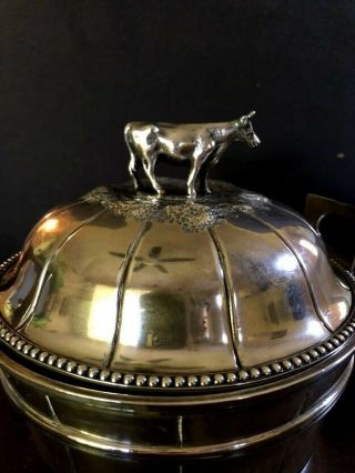 ANTIQUE STERLING SILVER BUTTER DISH WITH COW FINIAL circa 1848 - 1878 2