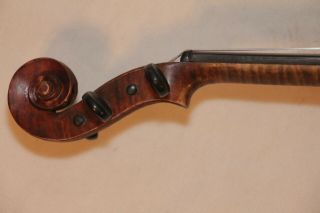 vintage 1931 Italian violin labeled Piretti 4/4 3
