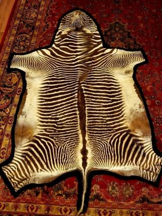 Vintage Authentic Zebra Skin Rug Burchell 