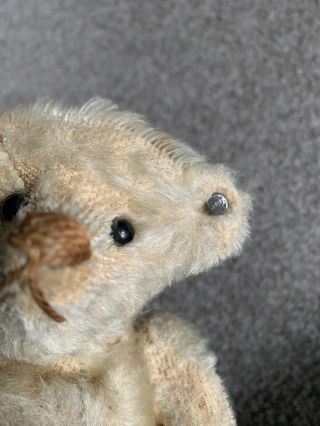 Early antique steiff teddy bear 9” Long Trailing f Ff Button Buy Now 2