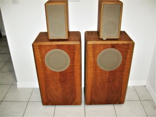 Vintage Shahinian Acoustics Custom Ordered Elf Speakers