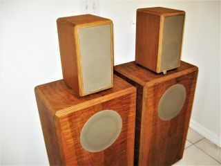 Vintage Shahinian Acoustics Custom Ordered Elf Speakers 2