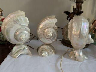 3 - Vintage Art Deco Nouveau Nautilus Seashell Sea Shell Figural Lamp