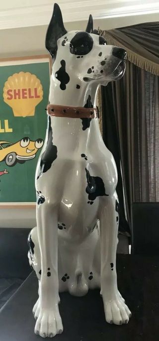 Vintage Italy Harlequin Great Dane Life Size Dog Statue Signed Ronzan? Huge 41”