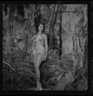 Bunny Yeager 1954 Camera Negative Seductive Model Joan Rawlings Orchid Bikini 2