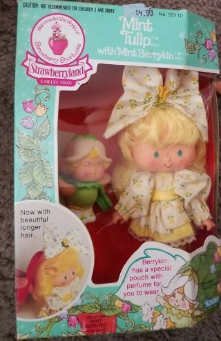 Kenner Strawberry Shortcake Tulip With Berrykin With Perfume