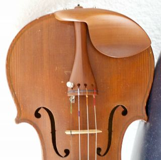 Very Old Labelled Vintage Violin " Evasio Emilio Guerra " 小提琴 скрипка ヴァイオリン Geige