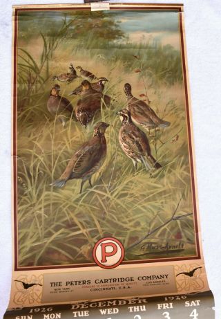 1926 Peters Cartridge Company Calendar Of Quails In Field By G.  Muss - Arnolt