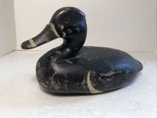 Vintage Balsa Wood Duck Decoy With Painted Eyes - Black Duck Gadwall