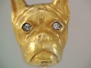 ANTIQUE ART NOUVEAU SOLID 14K GOLD DIAMOND EYES BOXER / BULL DOG STICK PIN 2