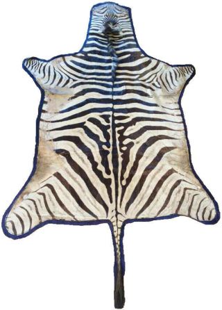 Vintage Zebra Hide Rug W/ Mane And Full Padding