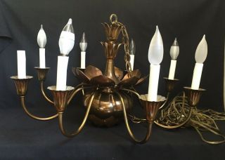 Vintage Feldman Brass Lotus Flower 8 Light,  Spot Chandelier Mcm Tommi Parzinger