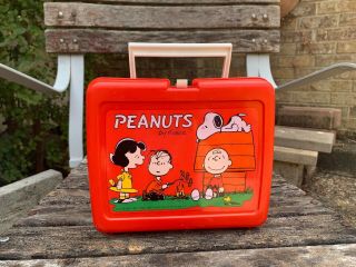 1965 Peanuts Lunch Box By Thermos.  Charlie Brown & Snoopy W 2 Vintage Thermoses