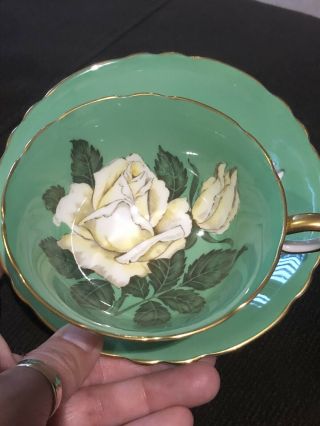 Vintage Paragon Teacup And Saucer Fine Bone China Green/white Rose Rare A 277