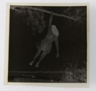 Bettie Page 1954 Camera Negative Bunny Yeager Estate Sheena Jungle Girl 3