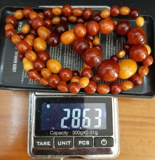 Antique Natural Butterscotch Egg Yolk Baltic Amber Beads Necklace 28g