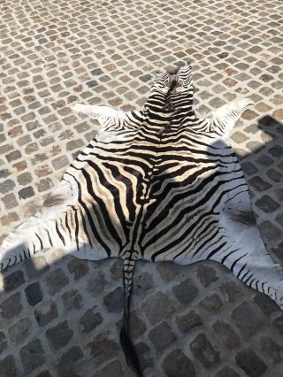 Authentic Zebra Skin Hide Rug Vintage