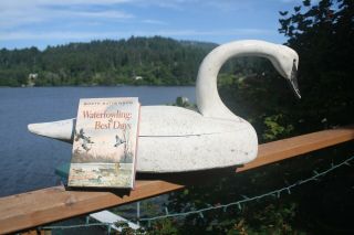 Swan Hunting Decoy By Ron Saylor,  Florence,  Oregon,  W.  Mathewson Rig,  Book.
