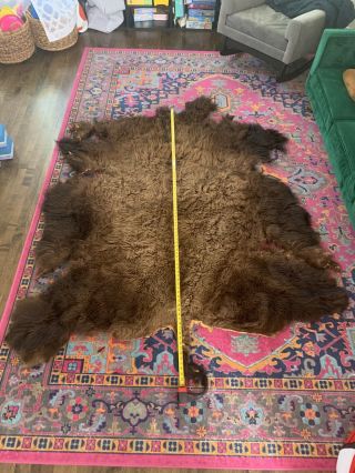 Vintage Tanned Buffalo Hide Bison Tatanka Pelt With Fur