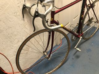 Vintage Guerciotti Milano Road Bike / Bicycle 12 Speed 20 - 1/2” Frame 2