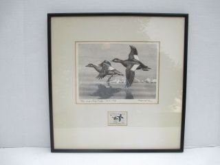 Rare 1969 Federal Duck Stamp Print Litho Framed Signed Maynard Reece 1st Ed