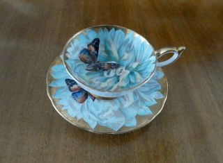 Aynsley Chrysanthemum Butterfly Cup & Saucer,  Vintage