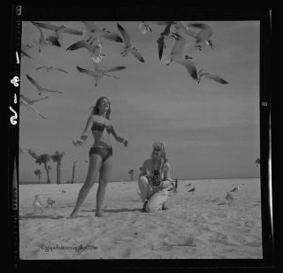 ' 66 Bunny Yeager Self Portrait Camera Negative Bathing Beauty Seagulls 2