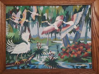 Vintage Mid Century Paint By Number Tropical Florida Bird Tree Painting Frame