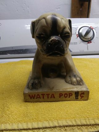 Watta Pop Chalkware Pug Dog Sucker Display Country Store 1930s Vintage Con.