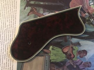 60’s Epiphone Gibson Archtop Guitar Pickguard Vintage Deluxe,  Triumph,  Emperor.