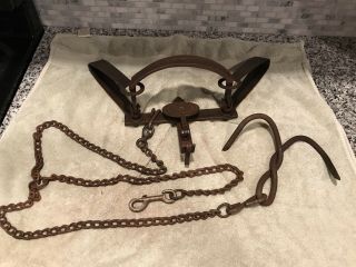 Vintage Newhouse 4 1/2 Atc Wolf Trap Trapping Victor Sargent