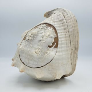Large Vintage Sea Conch Shell With Double Face Cameo