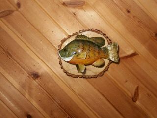 Sunfish Pumpkinseed Wood Carving Fish Taxidermy Vintage Fish Decoy Casey Edwards