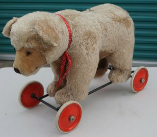 Vintage 1950s Steiff Teddy Bear On Wheels Growler Pull Toy Button In Ear Antique