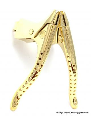 CAMPAGNOLO RECORD LEVERS GOLD PLATED Vintage Luxury Race Bike 2