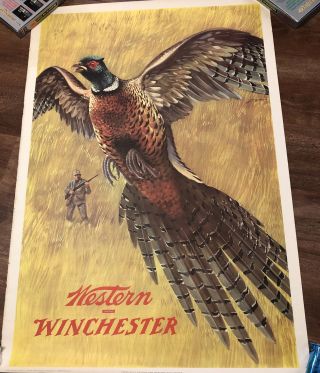 1955 Western - Winchester Ammo Poster Pheasant Hunting 42”x28”