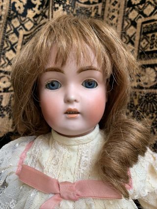 Antique German Doll 18” Tall Kestner 171 Daisy Cabinet Size