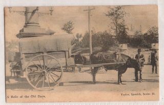 Vintage Postcard " A Relic Of The Old Days " Taylor,  Ipswich,  Series Ii Qld 1900s