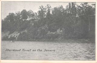 Sherwood Forest Maryland Severn River Scenic View Vintage Postcard Aa22841