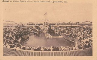 Old Vintage Postcard Rare Miami Fl Water Sports Show Opa - Locka Pool Great Card